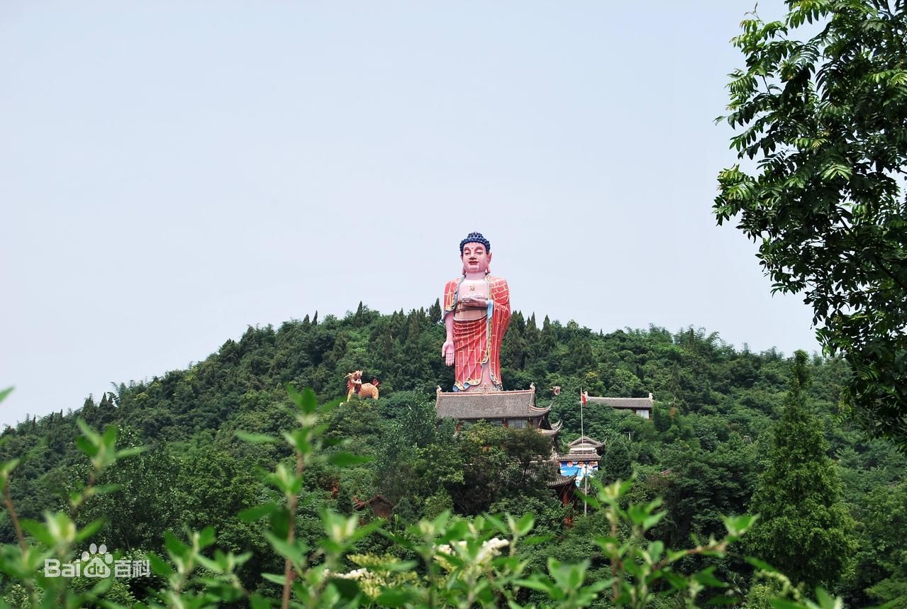 华藏寺马年头注高香九千八