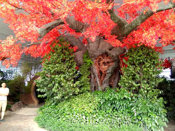 眉山首家生态餐厅——田园草堂生态园