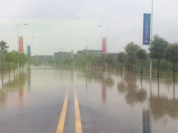 这两天的暴雨过后，眉山好多地方都遭水淹了哦！