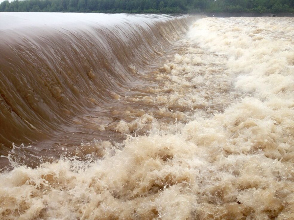 这两天的暴雨过后，眉山好多地方都遭水淹了哦！